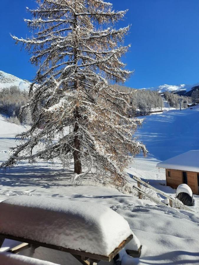 فيلا Chaletauxorres Au Pied Des Pistes Et Skis Aux Pieds ليه أورس المظهر الخارجي الصورة